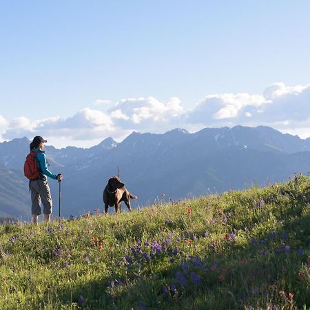 Lift House Lodge, Lionshead Village View, Studio Condo Vail Bagian luar foto