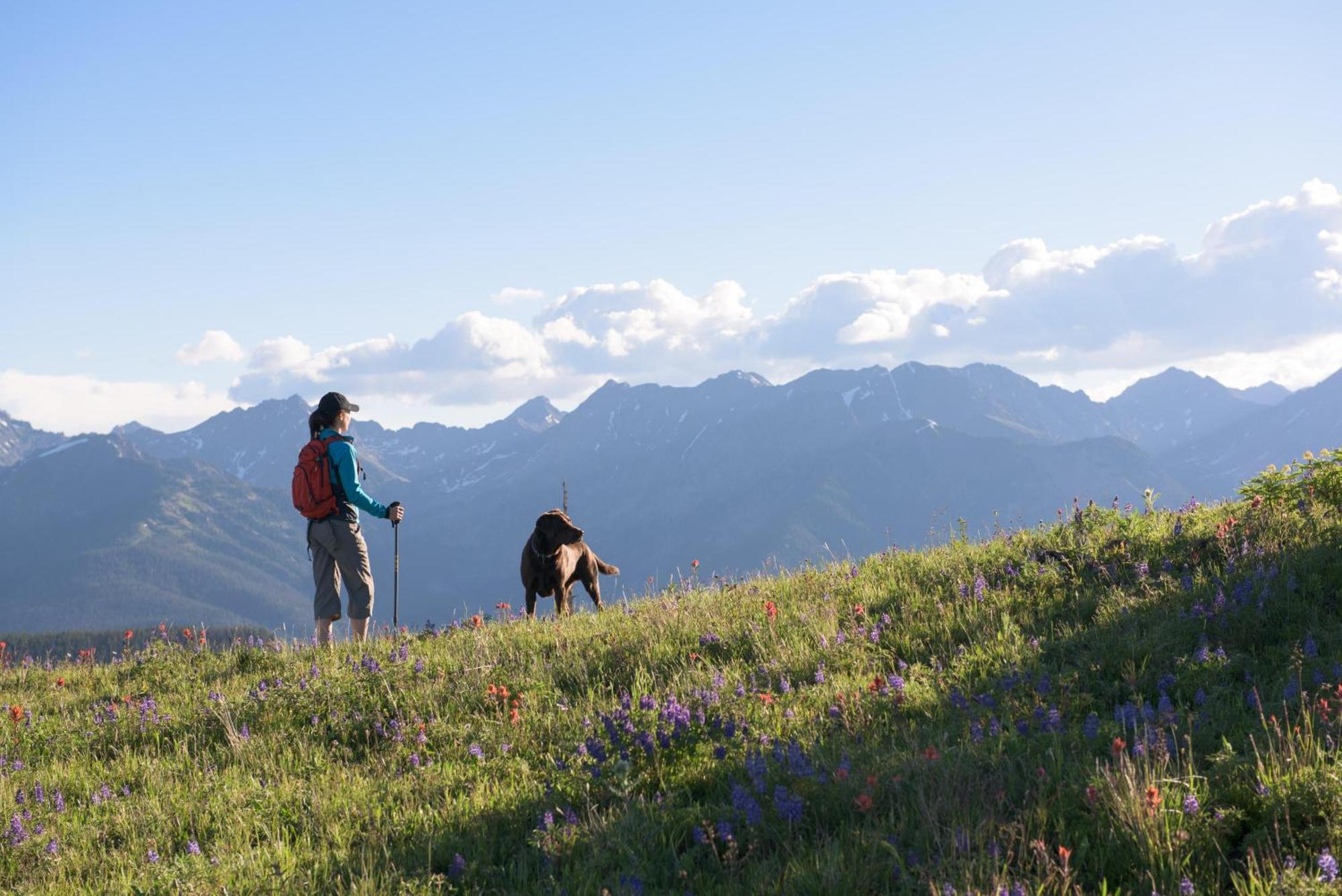 Lift House Lodge, Lionshead Village View, Studio Condo Vail Bagian luar foto